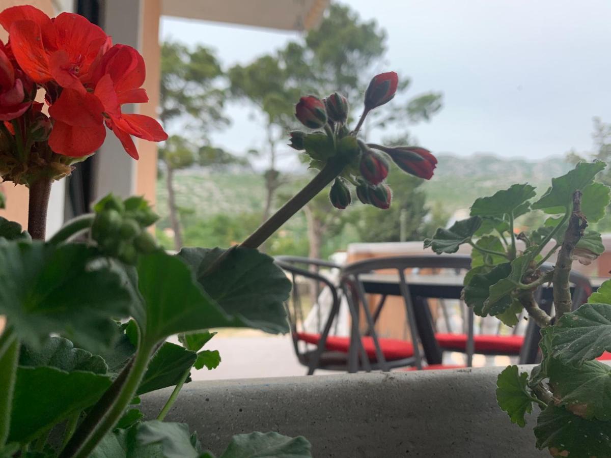 Apartmani Spomenka Seline Luaran gambar