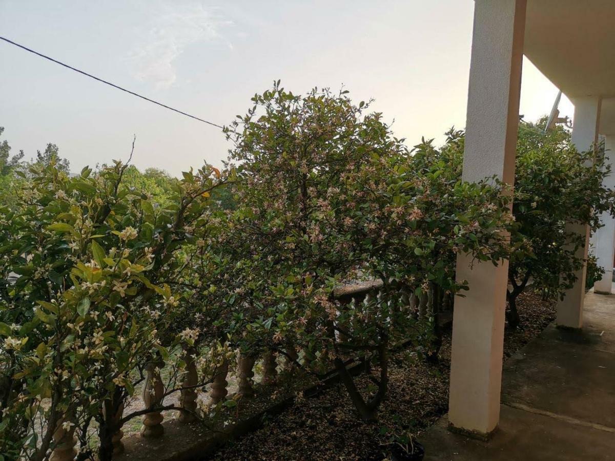 Apartmani Spomenka Seline Luaran gambar