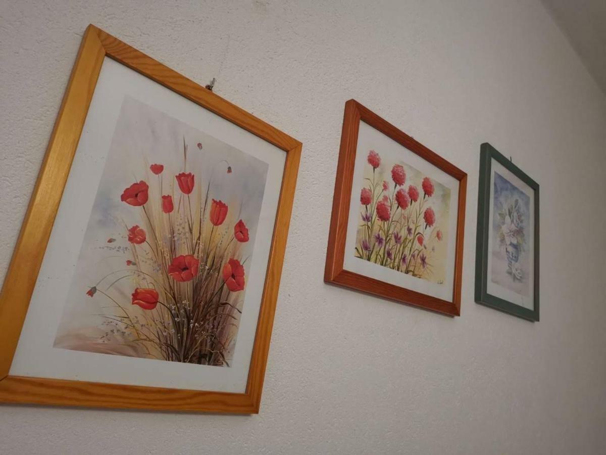 Apartmani Spomenka Seline Luaran gambar
