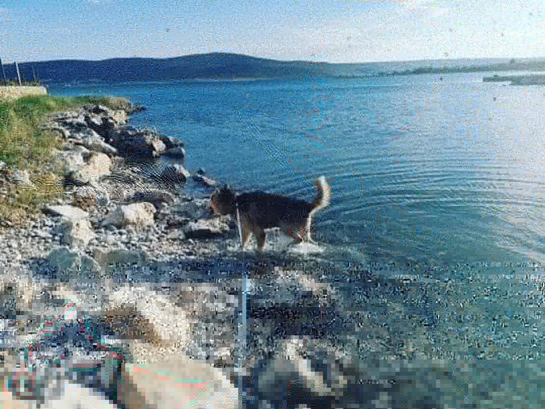 Apartmani Spomenka Seline Luaran gambar
