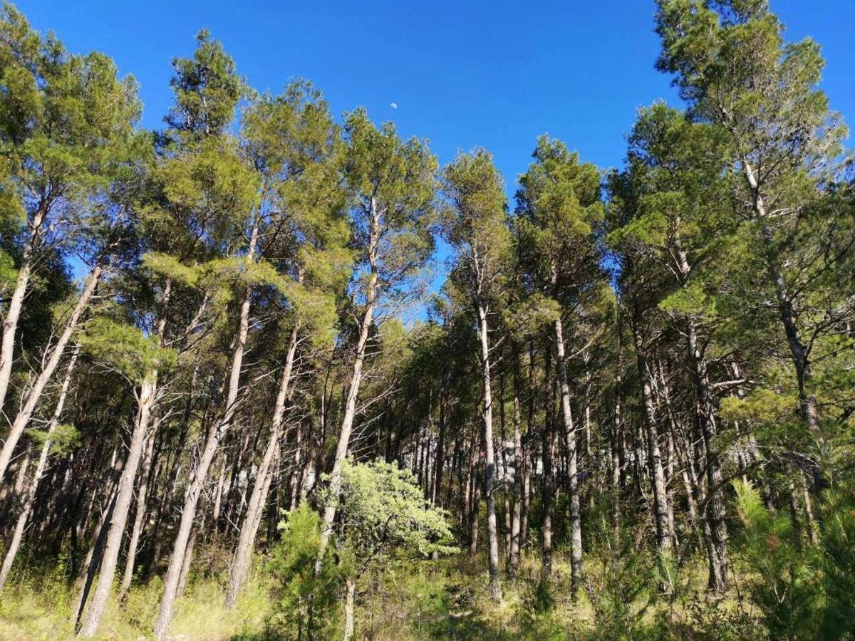 Apartmani Spomenka Seline Luaran gambar
